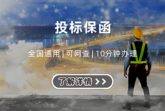 投标保函服务 - 专业快捷，助力顺利中标 